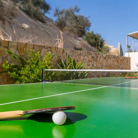 Vila Olive Chrysi Luxury With In-room Plunge Pool Chania (Crete)