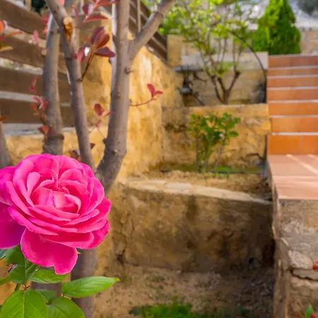 Vila Olive Chrysi Luxury With In-room Plunge Pool Chania (Crete)